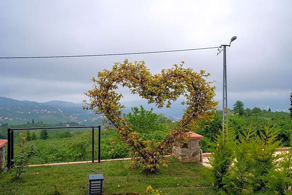 POISON GARDEN SUİTE