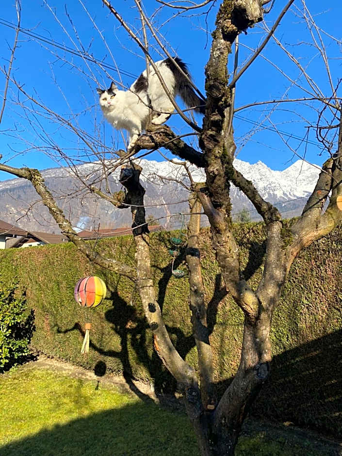 Chez Laurette et Louis