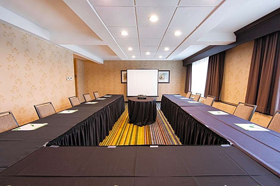Holiday Inn St. Louis Arpt West-Earth City by IHG