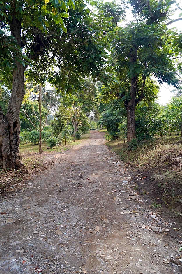 Arusha Villa Karamu Coffee Estate