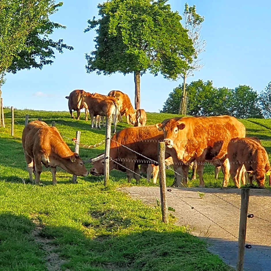 B&B Vroelen-Noorbeek