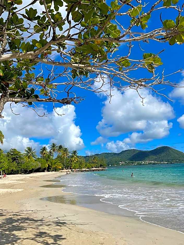 Jolie studio vue mer