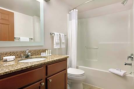 Suite, 1 Bedroom (1 Queen Bed and 1 Double Sofa Bed)