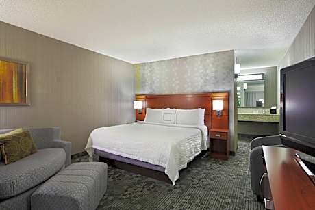 1 Bedroom Larger Suite, 1 King, Sofa bed