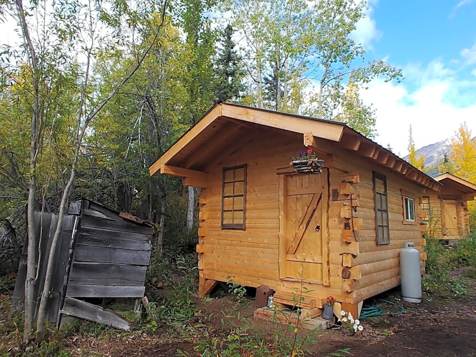 Blackburn Cabins - McCarthy, Alaska
