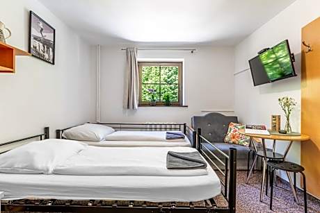 Budget Twin Room