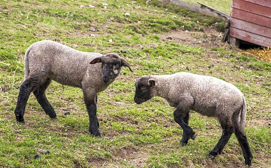 Hotel-Pension-Waldblick Garni