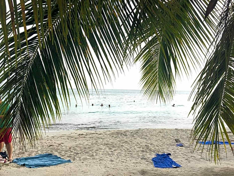 TI PARADIS DE l'ANSE FIGUIER VILLA voir site vacances en martinique