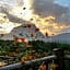 Baan AingDoi Homestay