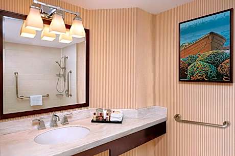Guest room, 1 Queen