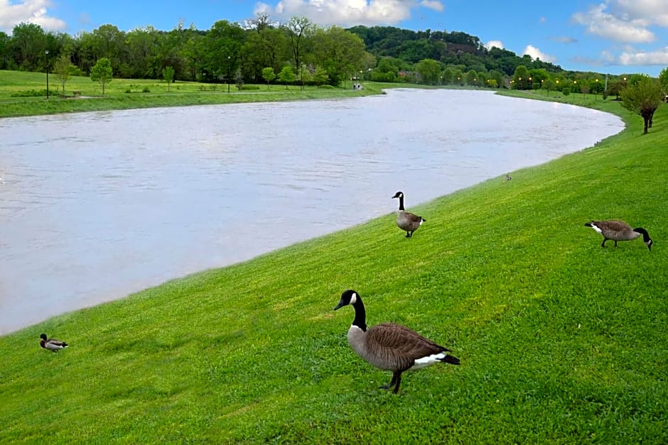 Econo Lodge Sevierville-Pigeon Forge on the River