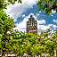 T H E Darmstadt