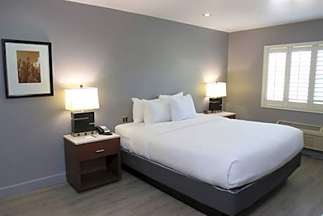 One Room Suite with Living room - Non Smoking