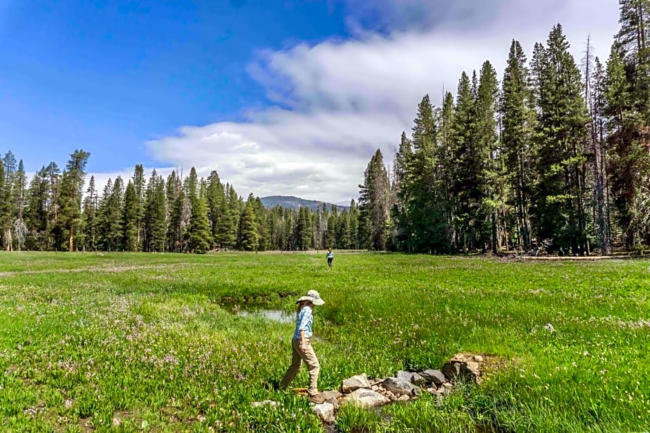 Holiday Inn Express And Suites Oakhurst-Yosemite Park Area