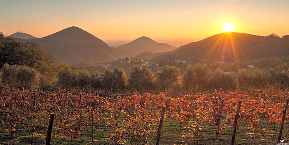 Fattoria Busa dell'Oro