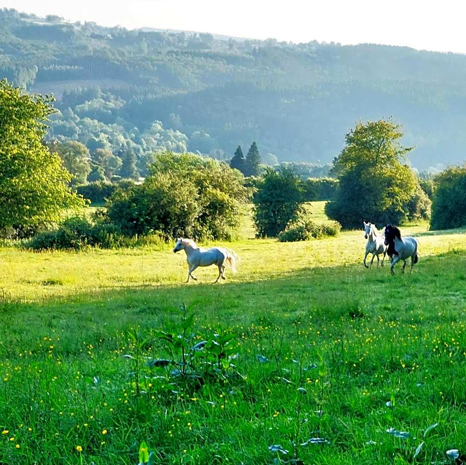 Cha Cha de Loup Luxe B&B - Vakantiewoning