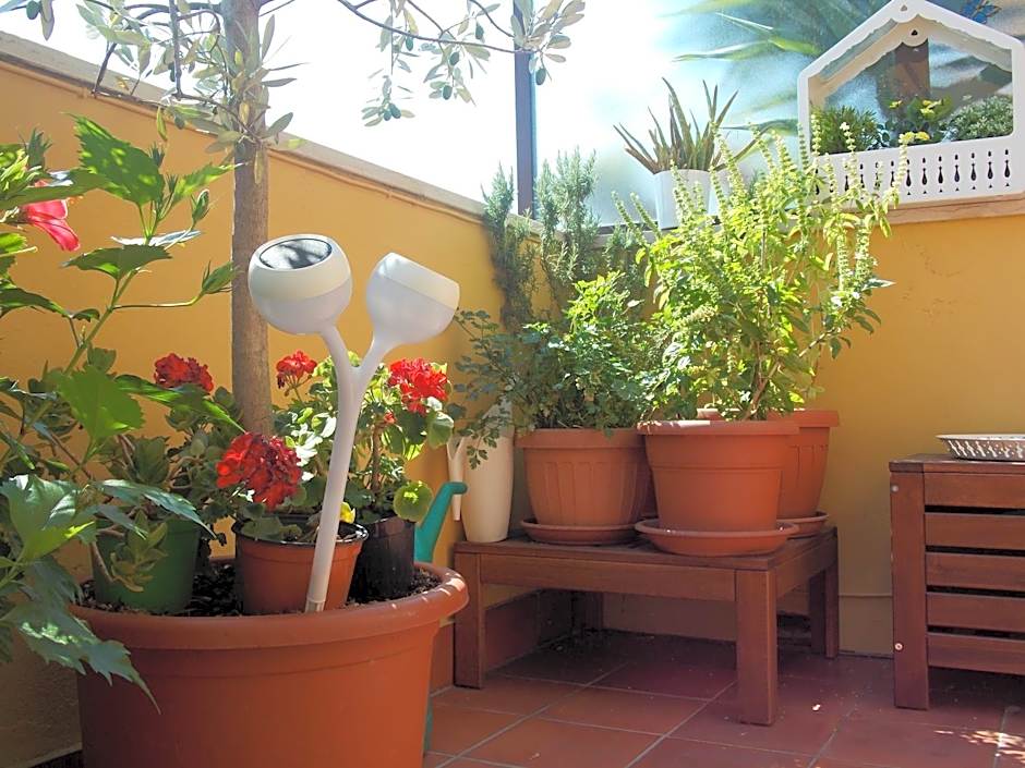 B&B Dei Cavalieri