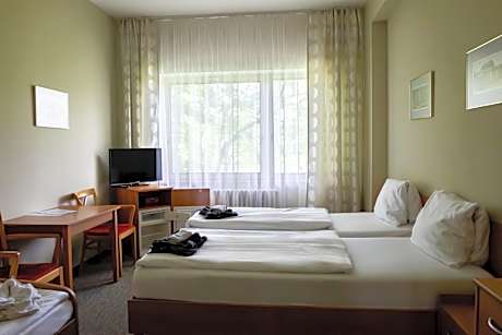 Double or Twin Room with Balcony