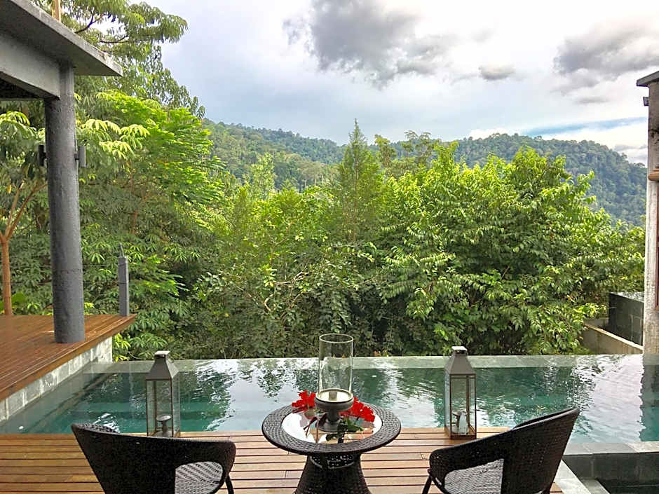 The Shorea
