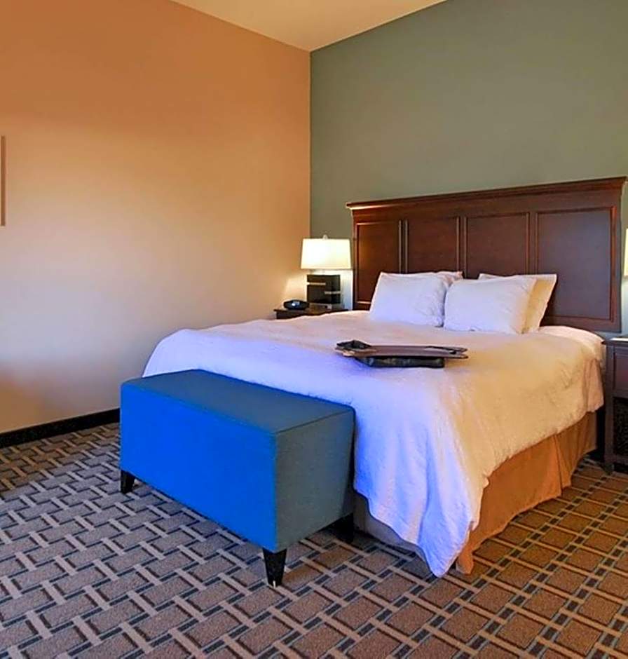 Hampton Inn By Hilton And Suites New Iberia