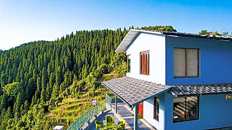 The Himalayan Deodar