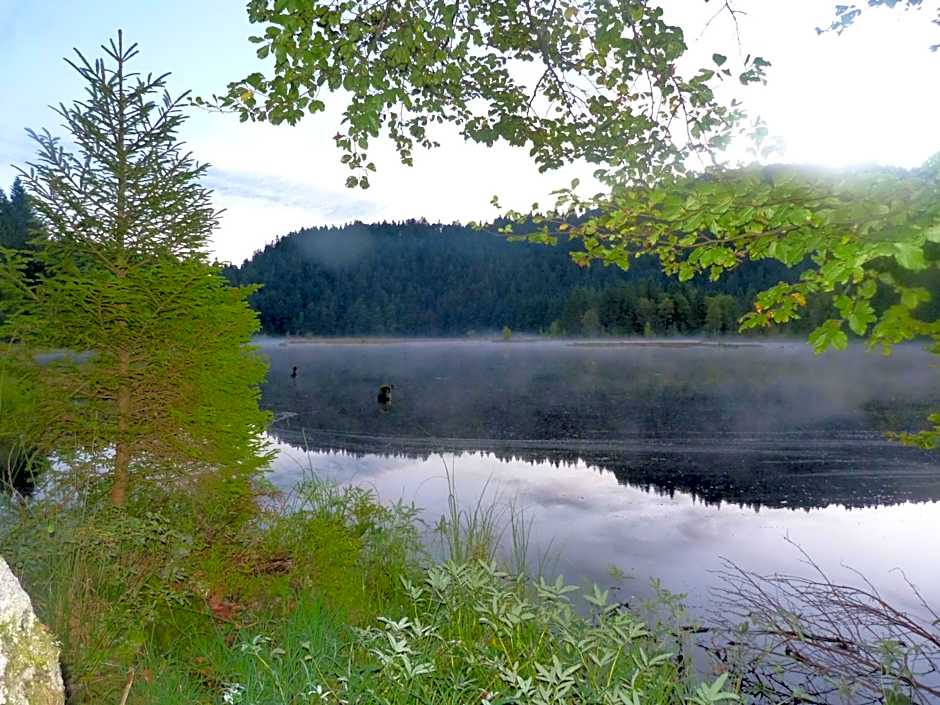 Domaine Des Hauts Viaux