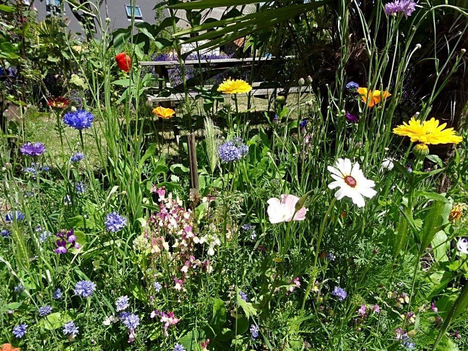 Studio "LA MEDINA", PISCINE jusqu'au 15 septembre, JARDIN BOTANIQUE, COMMERCES &MER