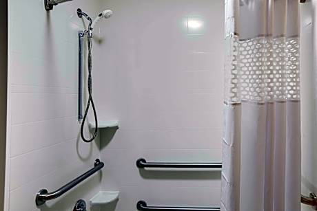 1 Full Bed Mobility Accessible Room Roll-In Shower Non-Smoking
