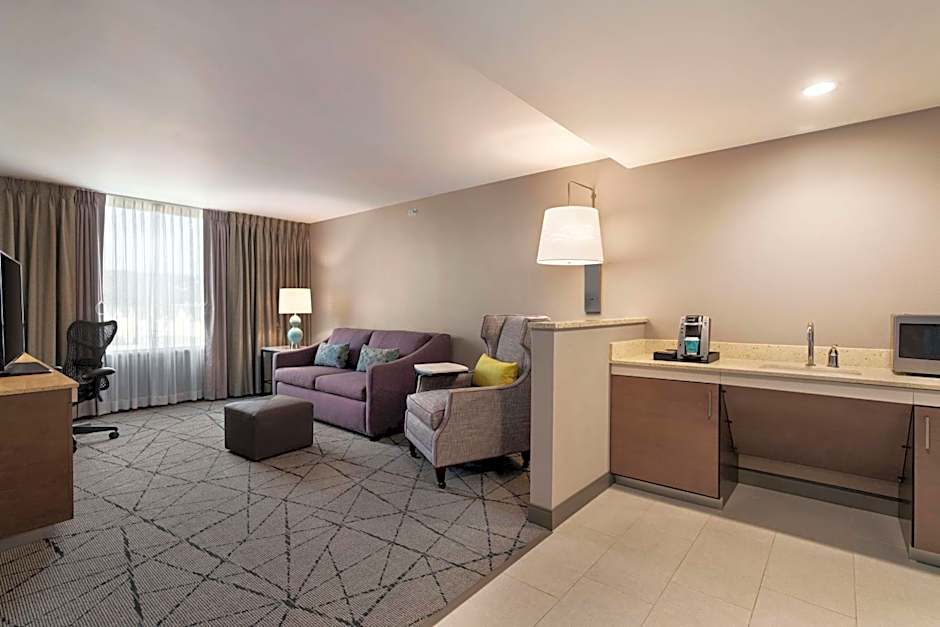 Hilton Garden Inn Springfield