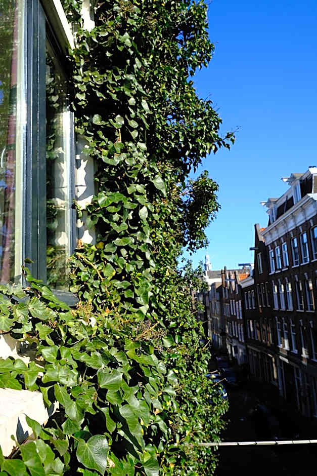 Eelhouse private studio