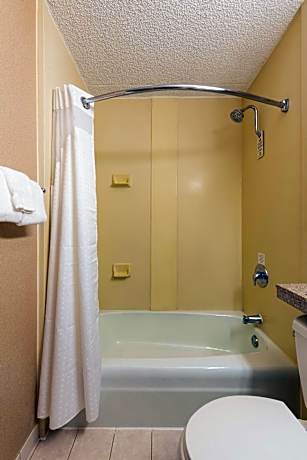 Standard Double Room with Two Double Beds