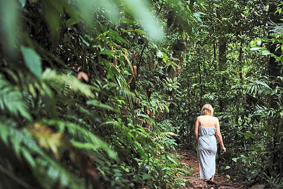 Daintree Eco Lodge & Spa