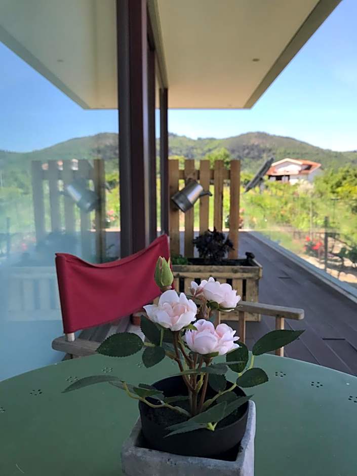 Vald'arêgos - Douro