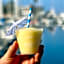 Shade Hotel Redondo Beach
