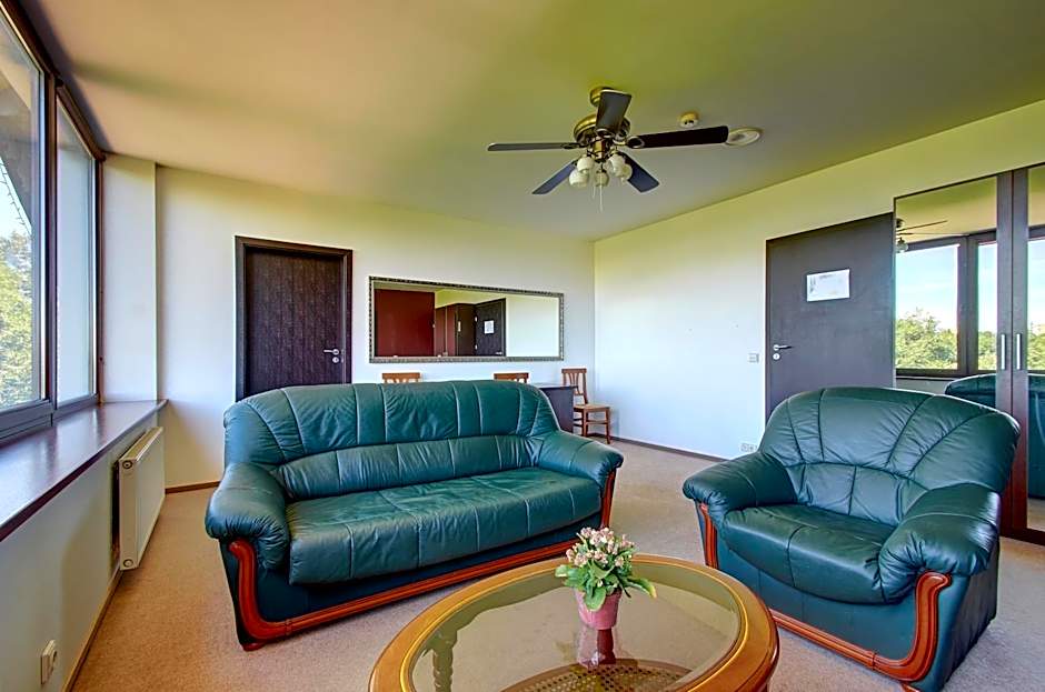 Aerohotel
