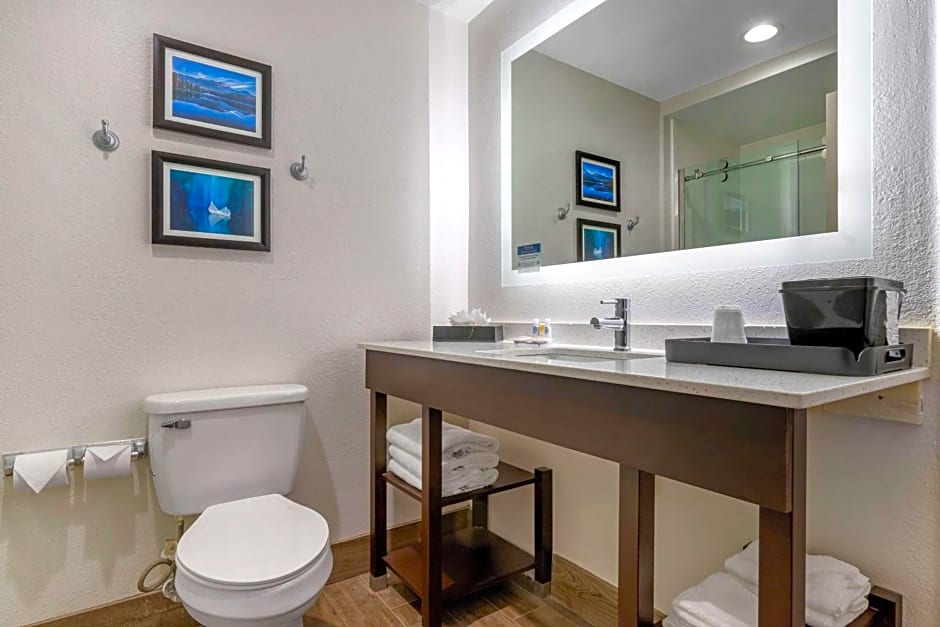 Comfort Inn & Suites Greer - Greenville