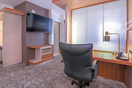 King Studio with Sofa Bed and Adapted Tub - Mobility and Hearing Accessible