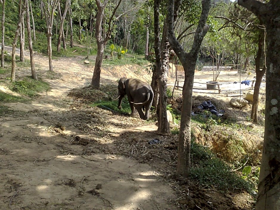 U Sabai Living Hotel