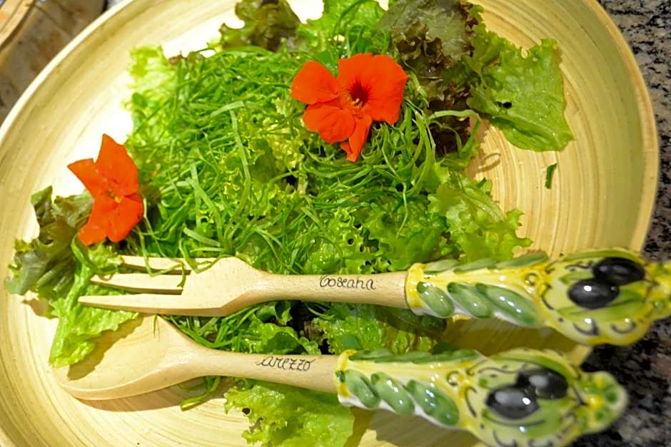 Pousada Encanto da Bocaina - Serra da Bocaina