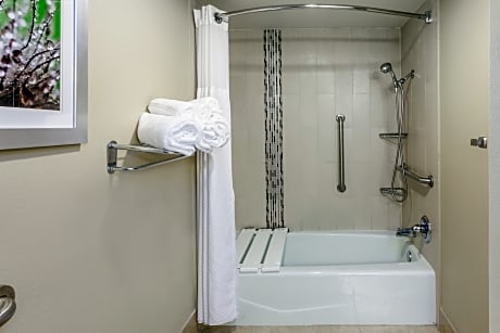 1 King Bed Standard Mobil Accessible Tub