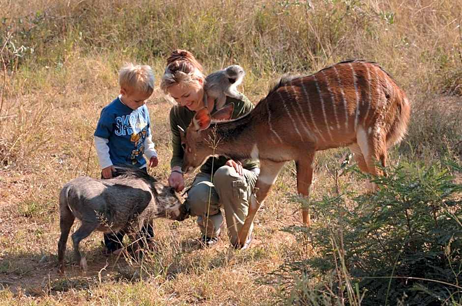 Sondela Nature Reserve & Spa Makhato Lodges