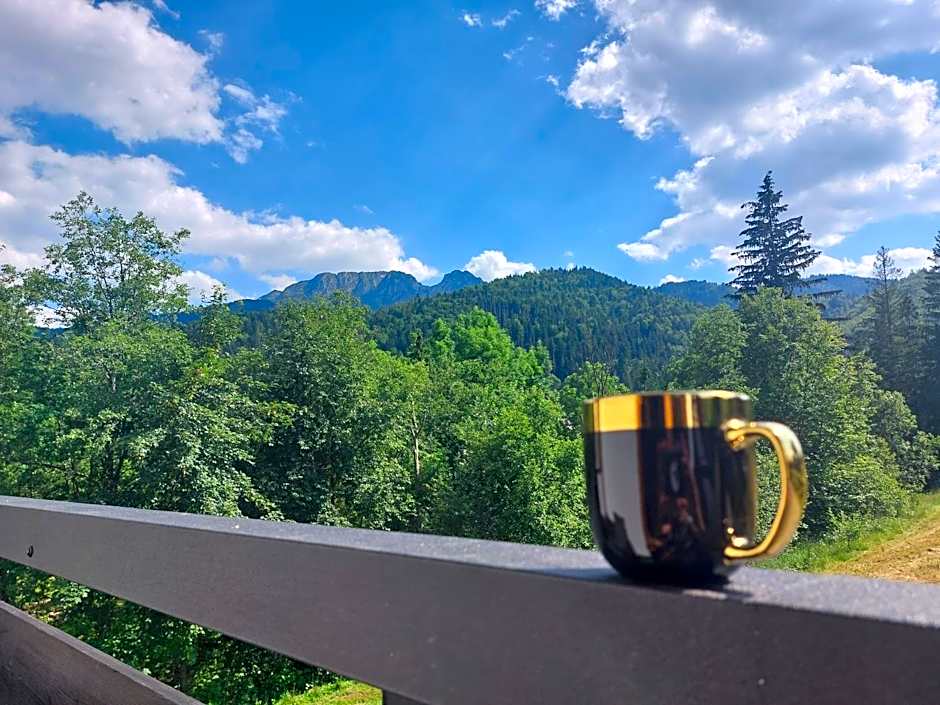 Willa Zielone Wzgórze - Zakopane - Luksusowe apartamenty