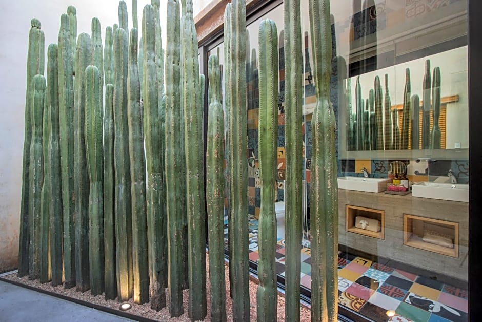 Casa Carmen Reforma