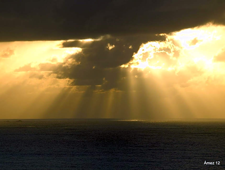 HOTEL LA CASA DE LAS CAMELIAS