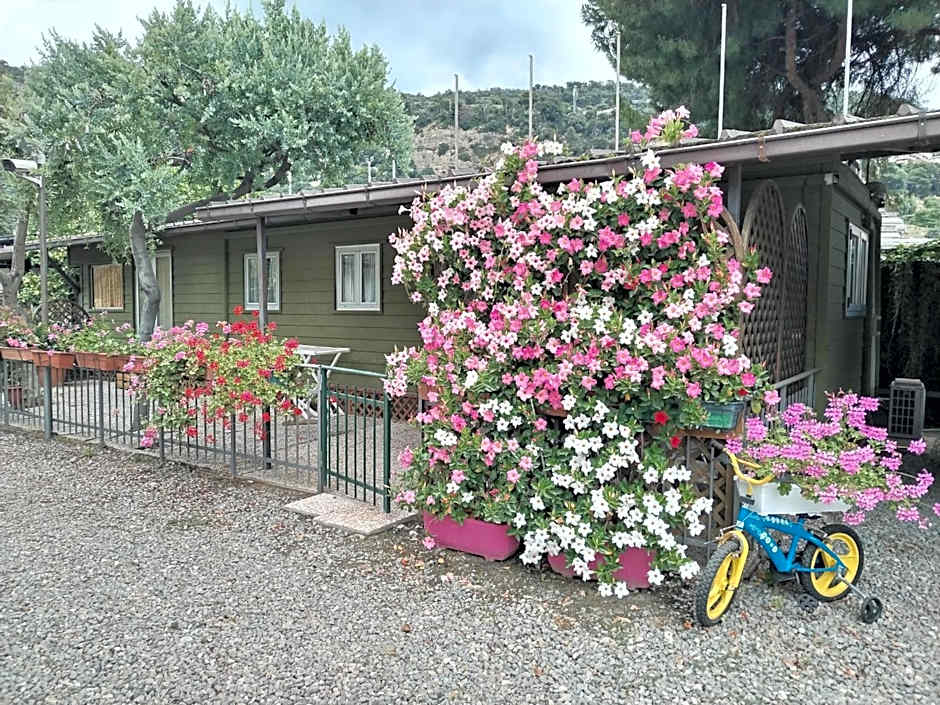 Photo 1 of 3 of Mobile Home