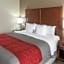 Comfort Inn & Suites LaGrange East