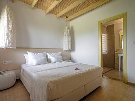 Garden Suite
