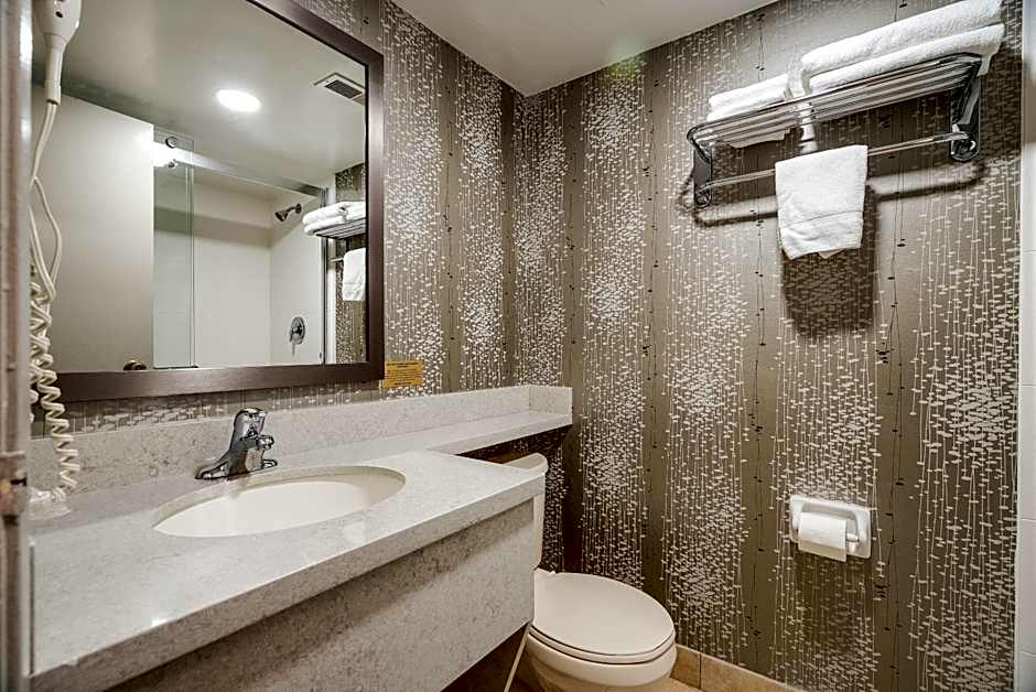 Monte Carlo Inn Toronto West Suites