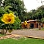 Mision Los Cocuyos