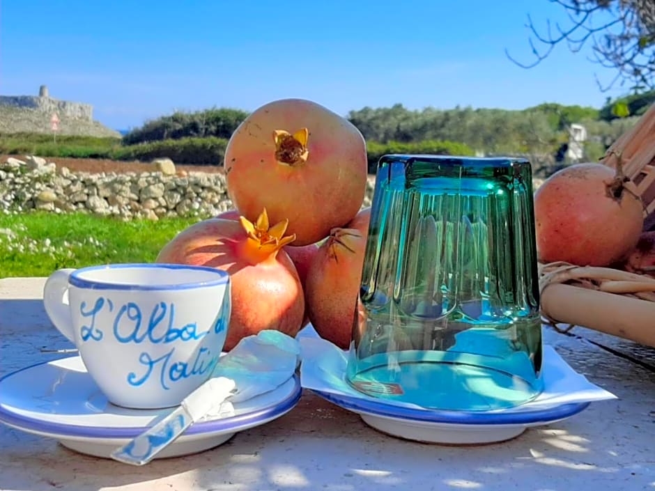 Tenuta L'Alba di monte Matino